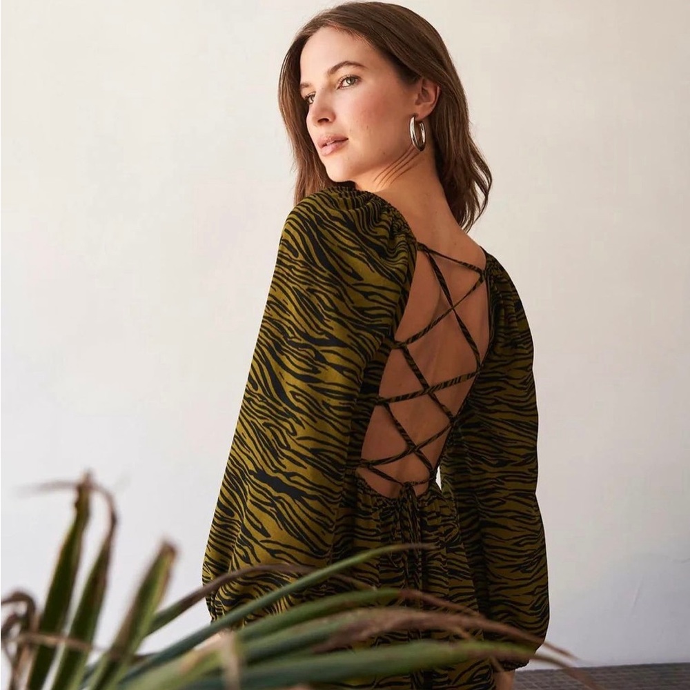 WHIMSY + ROW ZEBRA DRESS